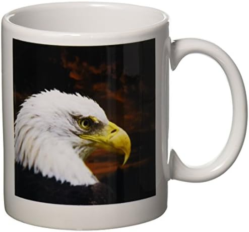 Керамична чаша 3dRose mug_48674_1 American Bald Eagle Art Home Décor and Art, 11 грама, Многоцветен