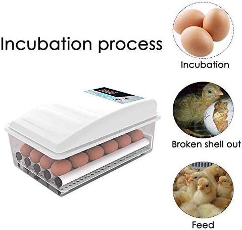 Инкубатор за яйца JF-XUAN Инкубатори за яйца с автоматично завъртане, инкубатор за отделянето на 12 Яйца с Контрол на температурата за отглеждане на Пилета, Патици, Гъс?